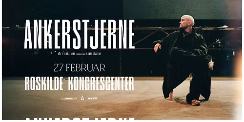 Ankerstjerne i Roskilde Kongrescenter