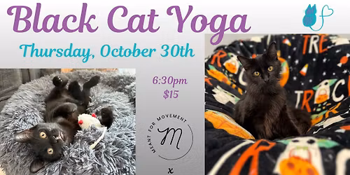 Black Cat Yoga with Cats!