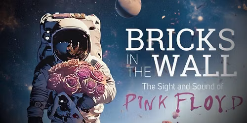 Bricks In The Wall - Pink Floyd Tribute
