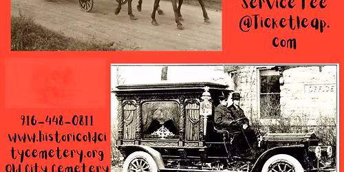 Bosses of the Boneyard