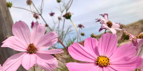 Women\u2019s Full Moon Temazcal Ceremony 