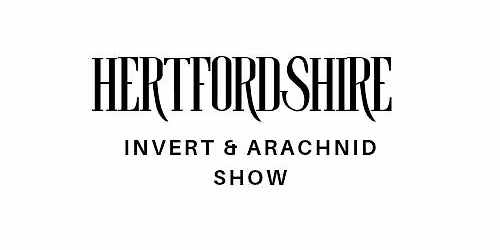 Hertfordshire Invert & Arachnid Show