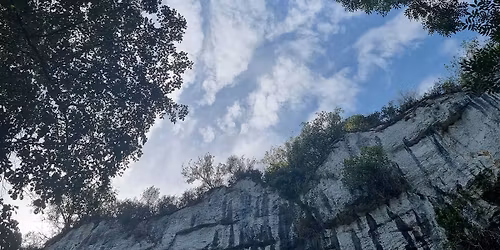 Ateliers de qi gong novembre 2025