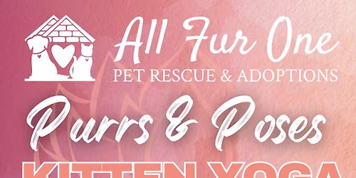 Purrs & Poses Kitten Yoga Fundraiser