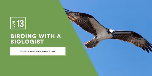 Birding with a Biologist