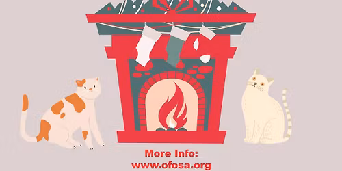 Purrs for the Holidays Cat Adoption Event