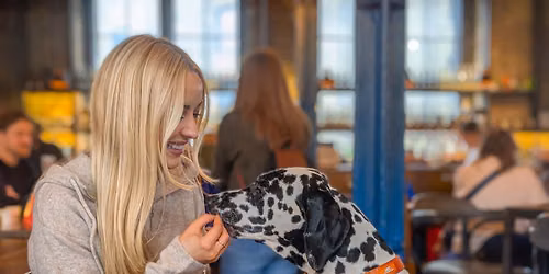 Halloween Big Dog Social \u2013 Pup Up Cafe \u2013 Northampton \ud83c\udf83