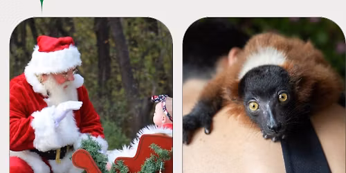 Santa on the Farm