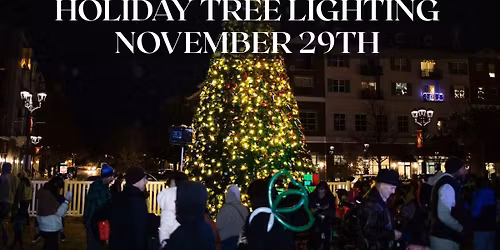 Holiday Tree Lighting