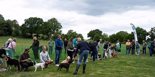 Park Pooches - Fun Dog Show!