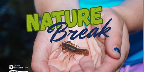 Nature Break - Creekstomping