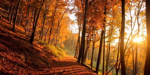 Celebrate the Autumn Equinox With Us