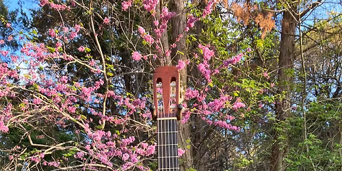 Music for the Wonderful Watercolor Society of Killeen Texas ! #3