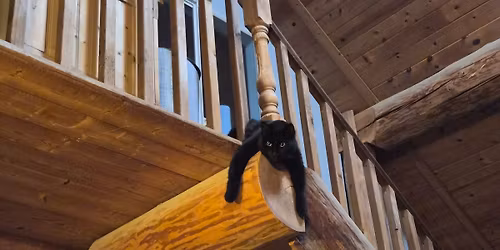 Music Party at Abbotsford Rugby Clubhouse