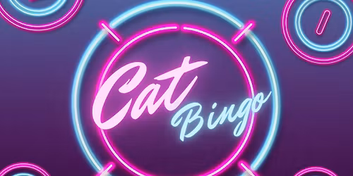 Cat Bingo!!