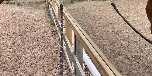 Steph Cooper dressage clinic