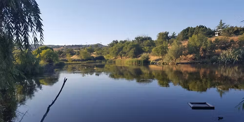 Walk Around Rancho San Rafael ( fall colors)