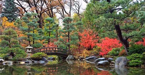 Guided Serenity Walk - Gratitude