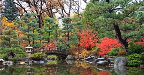 Guided Serenity Walk - Gratitude