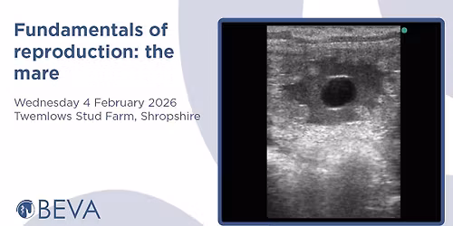 Fundamentals of reproduction: the mare