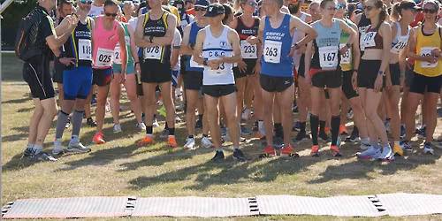 brainstrust Bass Belle 10k 