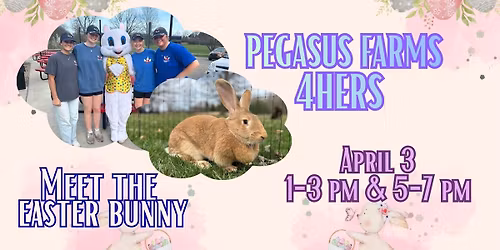 Meet the Easter Bunny with Pegasus Farms 4Hers 