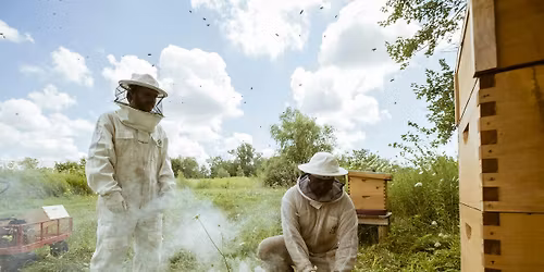 Beekeeping for Beginners \u2013 Summer Workshop 3 of 4