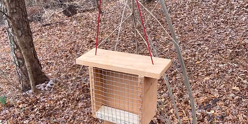 Migratory Bird Feeders