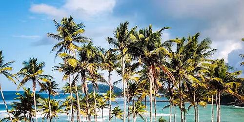 \u09b8\u09bf\u0997\u09bf\u09b0\u09bf\u09df\u09be \u09a5\u09c7\u0995\u09c7 \u0995\u09b2\u09ae\u09cd\u09ac\u09cb: \u099f\u09bf\u099c\u09bf\u09ac\u09bf'\u09b0 \u09b8\u09be\u09a5\u09c7 \u09b6\u09cd\u09b0\u09c0\u09b2\u0999\u09cd\u0995\u09be\u09df \u09b8\u09cd\u09ac\u09aa\u09cd\u09a8\u0998\u09c7\u09b0\u09be \u09ed \u09a6\u09bf\u09a8 (\u09e8\u09eb \u09a1\u09bf\u09b8\u09c7\u09ae\u09cd\u09ac\u09b0)