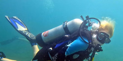 Drive N Dive