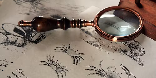 Splendid Georgia: a Colonial Naturalist's History