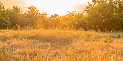 "Wilderness Station Presents" The Oakwood Trail