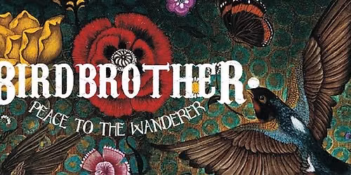 Birdbrother at Katie Fitzgerald\u2019s Stourbridge