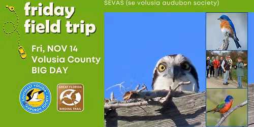 NOV Field Trip:  BIG DAY Volusia County