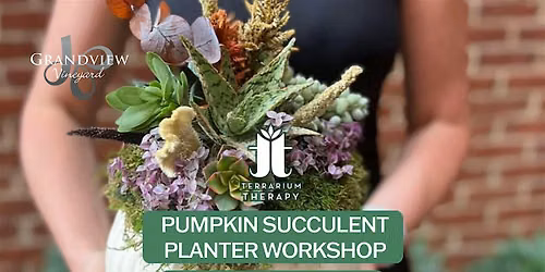 Pumpkin Succulent Planter Workshop at Grandview Vineyard