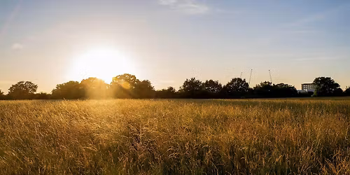 Tolworth Court Farm Rewilding Day