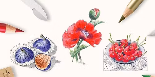 workshop faber castell: klaproos-vijgen-kersen tekenen