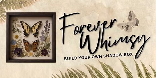 Forever Whimsy: Build Your Own Butterfly Shadow Box