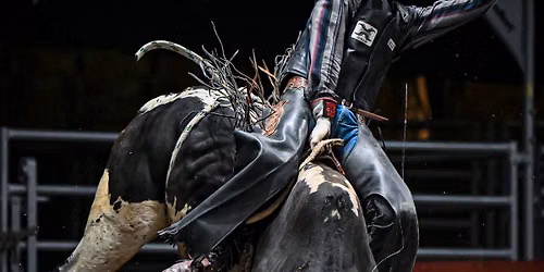 The Grand National Rodeo
