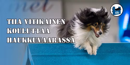 Tiia Vitikaisen koulutus