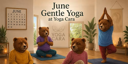 ACTIVATE & CONNECT 55+ GENTLE YOGA AT YOGACARA