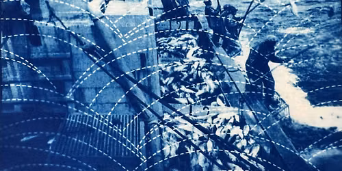 Print & Sip | Cyanotype printing workshop with artist Flora Kao