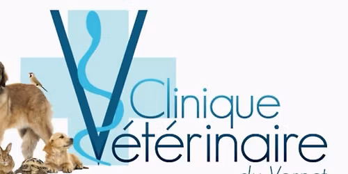 Seance photo de no\u00ebl