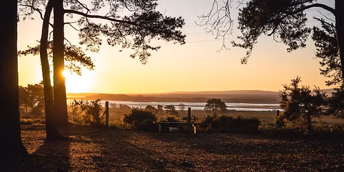 Sunrise Guided Walk at RSPB Arne - a gentle journey through natures beauty