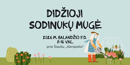 Did\u017eioji sodinuk\u0173 mug\u0117 \u0160iauliuose (2026 pavasaris)