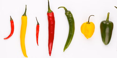 The 1st Victoria Inn Chilli Challenge \ud83c\udf36 