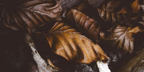 Come Home to Yourself ~ Soundbath