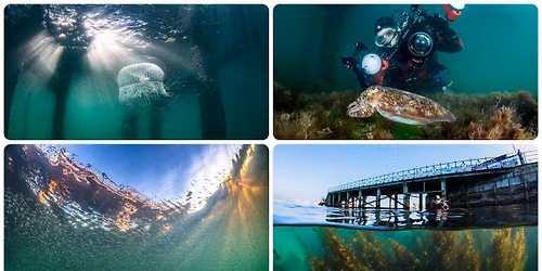 Underwater Photography Exhibition