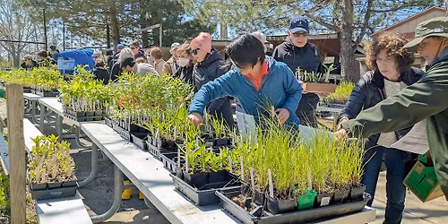 Earth Day Celebration