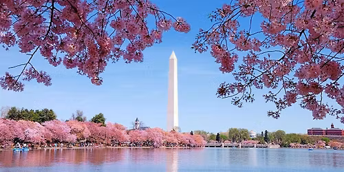 30.4  \u05e1\u05d9\u05d5\u05e8 \u05de\u05d5\u05d3\u05e8\u05da : \u05e1\u05d5\u05d3\u05d5\u05ea \u05d4\u05d1\u05d9\u05ea \u05dc\u05d1\u05df, \u05d4\u05de\u05d5\u05dc \u05d4\u05dc\u05d0\u05d5\u05de\u05d9 \u05d5\u05d4\u05d0\u05e0\u05d3\u05e8\u05d8\u05d0\u05d5\u05ea \u05e9\u05dc \u05d5\u05d5\u05e9\u05d9\u05e0\u05d2\u05d8\u05d5\u05df